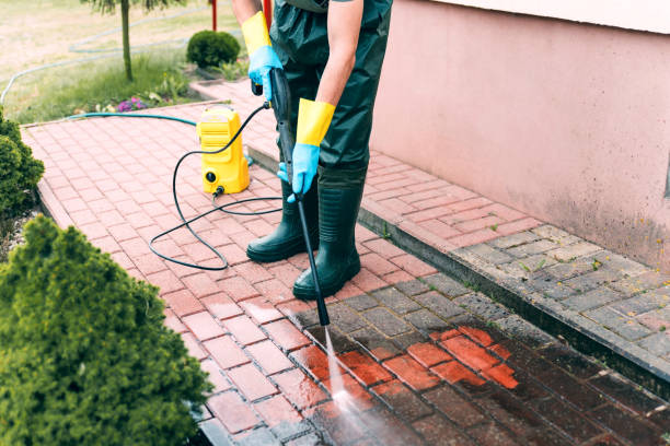 Best Driveway Pressure Washing  in Blissfield, MI